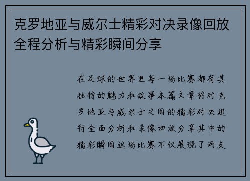 克罗地亚与威尔士精彩对决录像回放全程分析与精彩瞬间分享